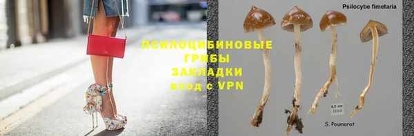мдпв Бронницы