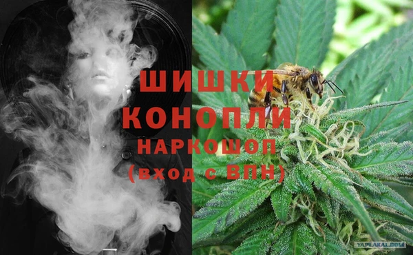 мдпв Бронницы