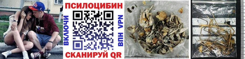 Галлюциногенные грибы GOLDEN TEACHER Новохопёрск